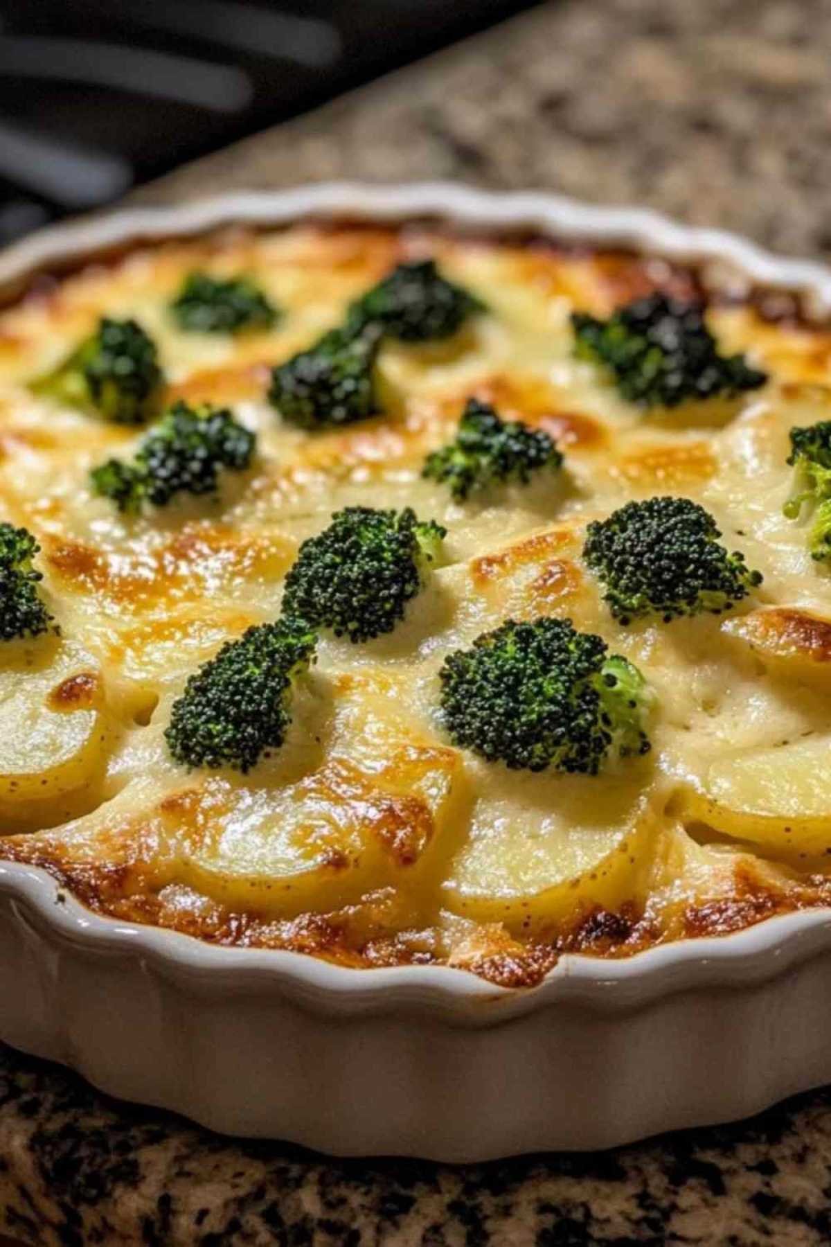 Assemblage du gratin aux brocolis et pommes de terre